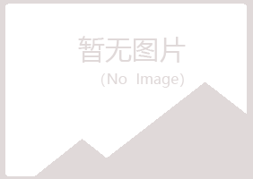 阳山县含蕾建设有限公司